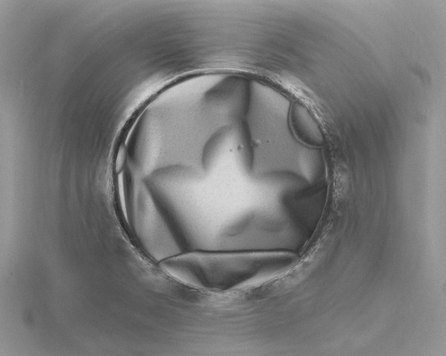 X0000115631469200912011430