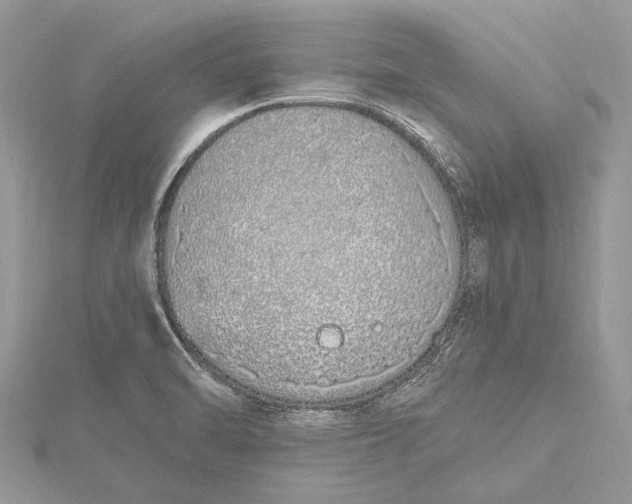 X0000115631470200912011430