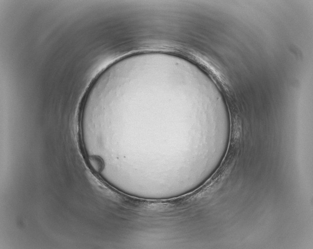 X0000115631471200912011430