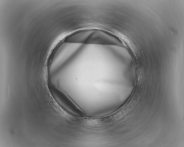 X0000115631472200912011430