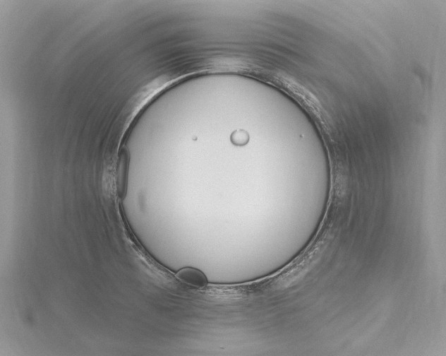 X0000115631473200912011430