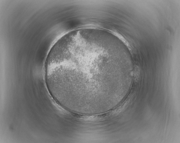 X0000115631474200912011430