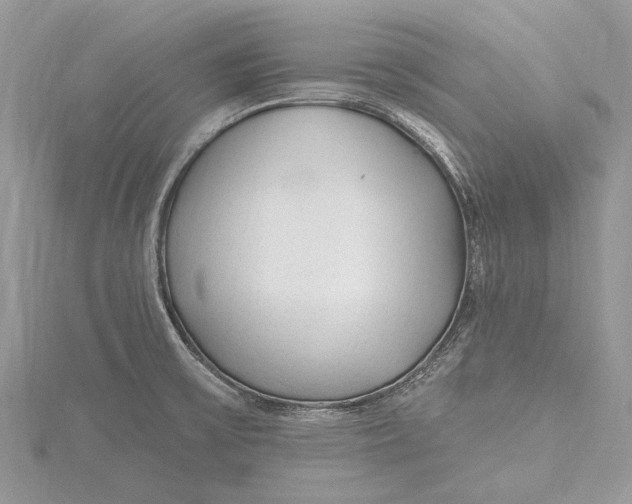 X0000115631475200912011430