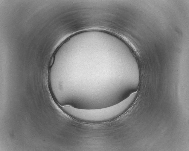 X0000115631476200912011430