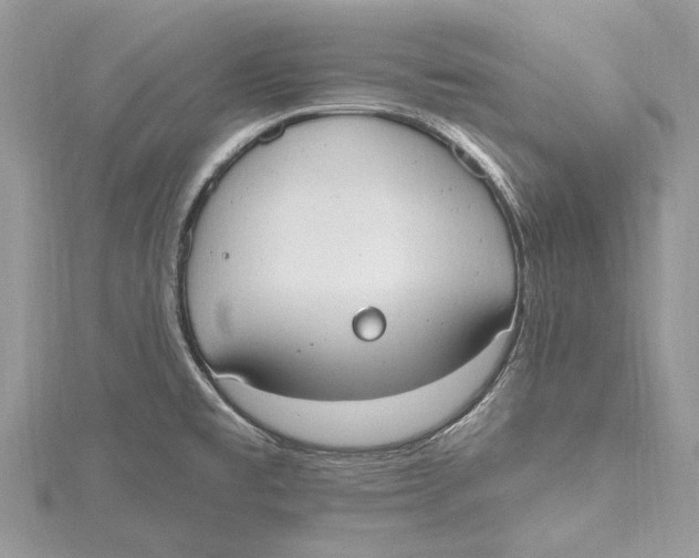 X0000115631477200912011430