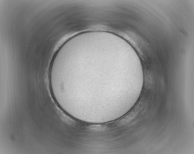 X0000115631478200912011430