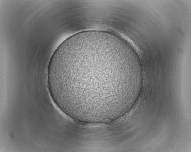 X0000115631479200912011430