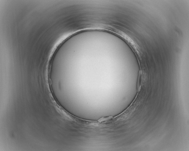 X0000115631480200912011430