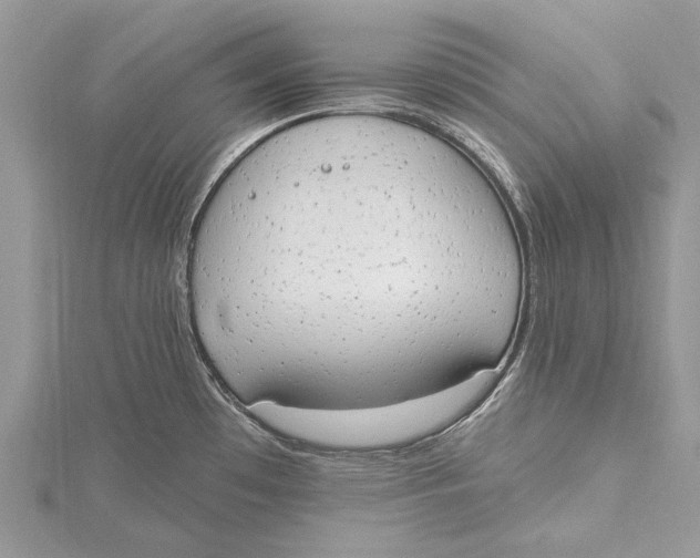 X0000115631481200912011430