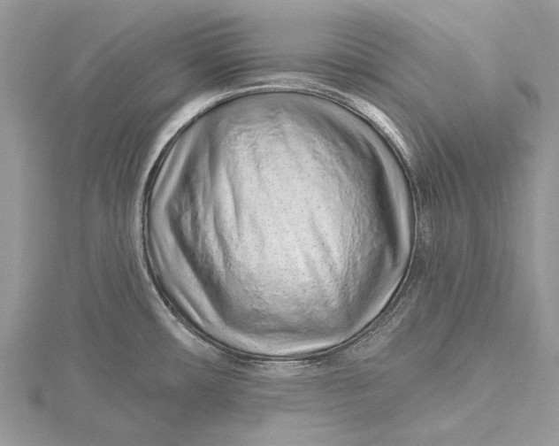 X0000115631482200912011430