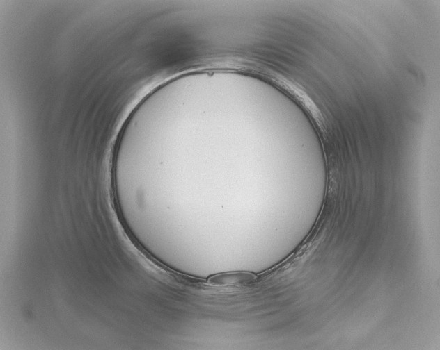 X0000115631483200912011430