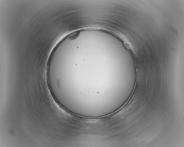 X0000115631484200912011430