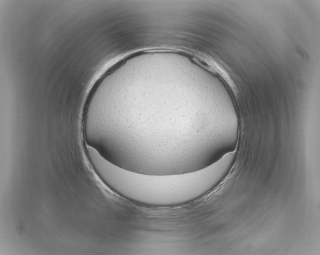 X0000115631485200912011430