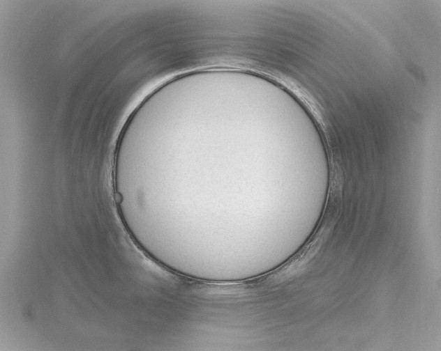 X0000115631486200912011430