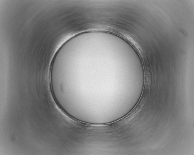 X0000115631487200912011430