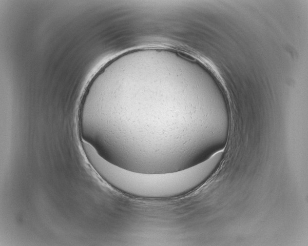 X0000115631488200912011430