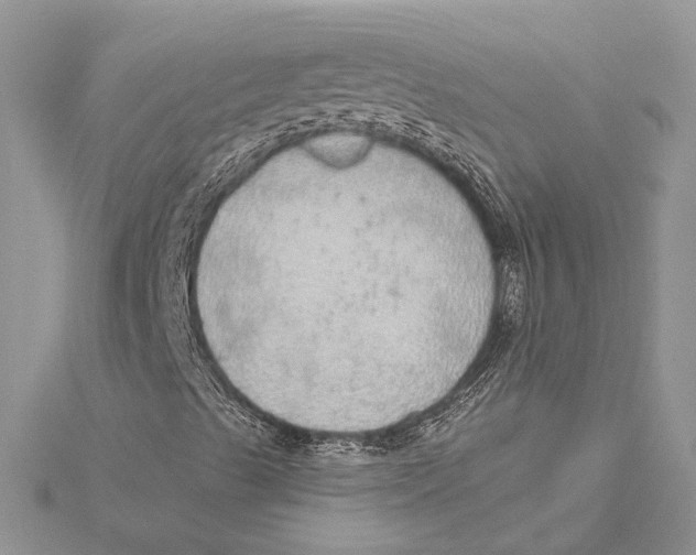 X0000115631489200912011429