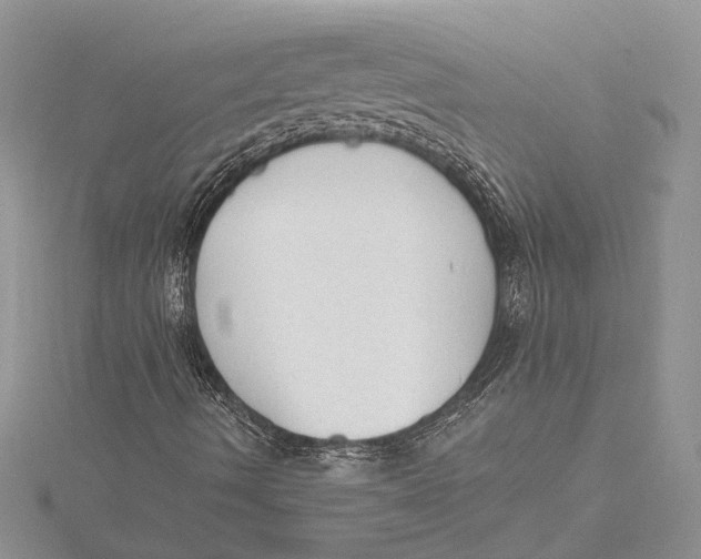 X0000115631490200912011429