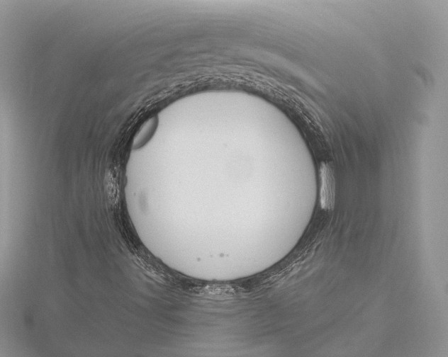 X0000115631491200912011429