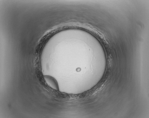 X0000115631494200912011429