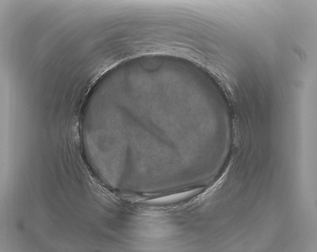 X0000115631497200912011429