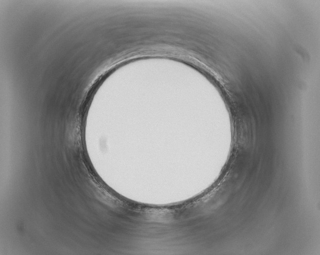 X0000115631498200912011429