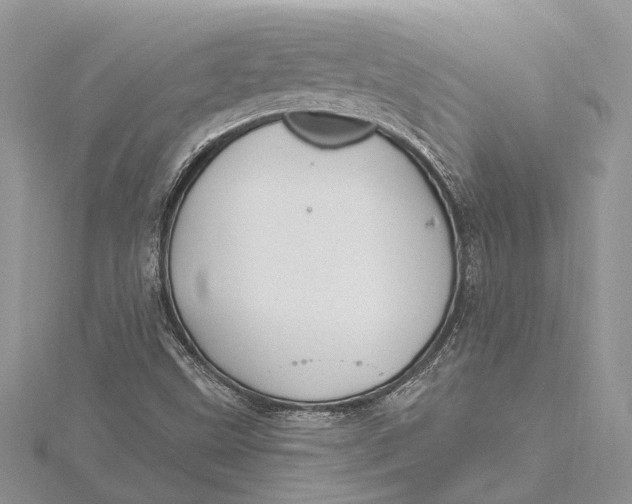 X0000115631499200912011429