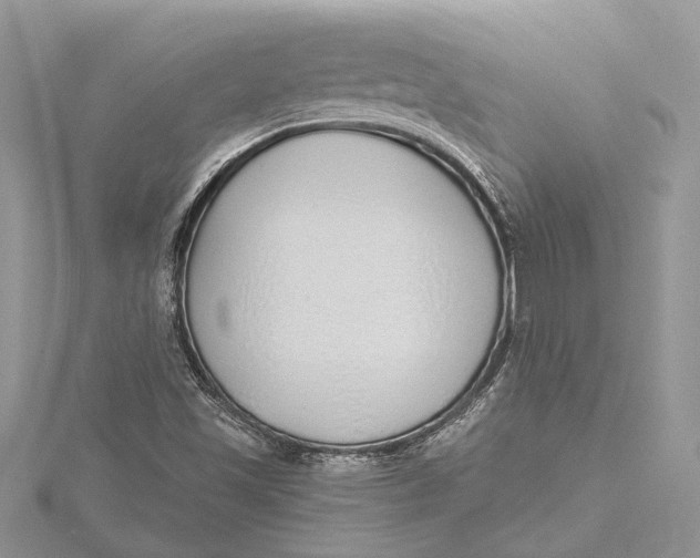 X0000115631501200912011429