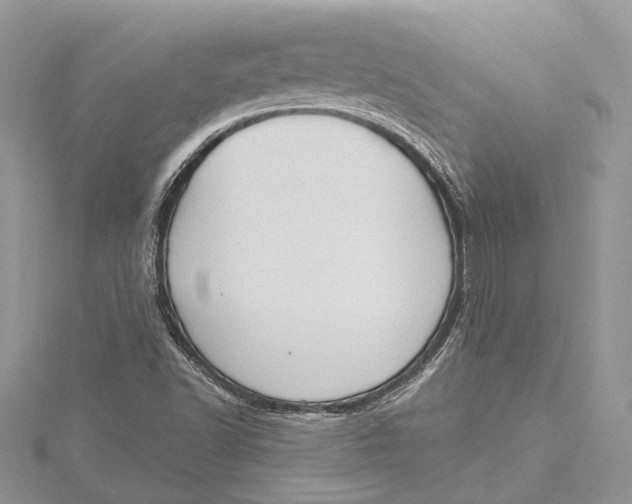 X0000115631502200912011429