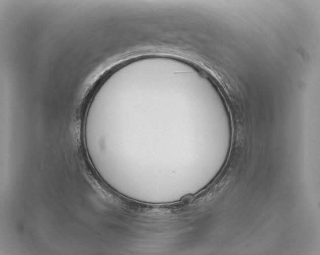 X0000115631503200912011429