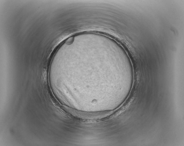 X0000115631505200912011429