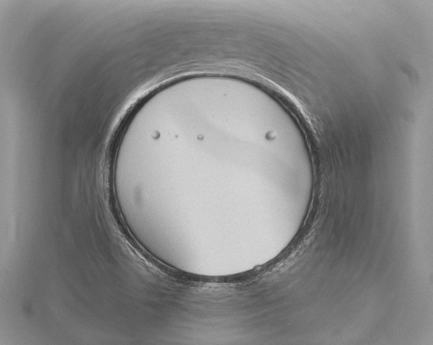 X0000115631506200912011429