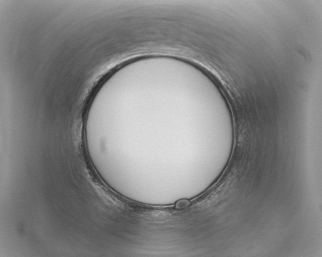 X0000115631507200912011429