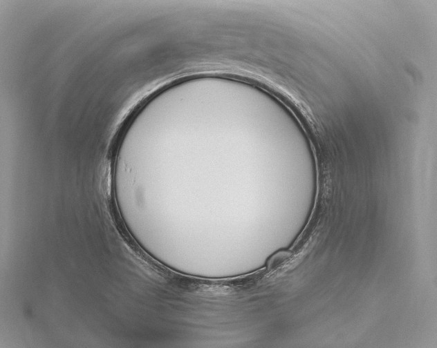 X0000115631509200912011429