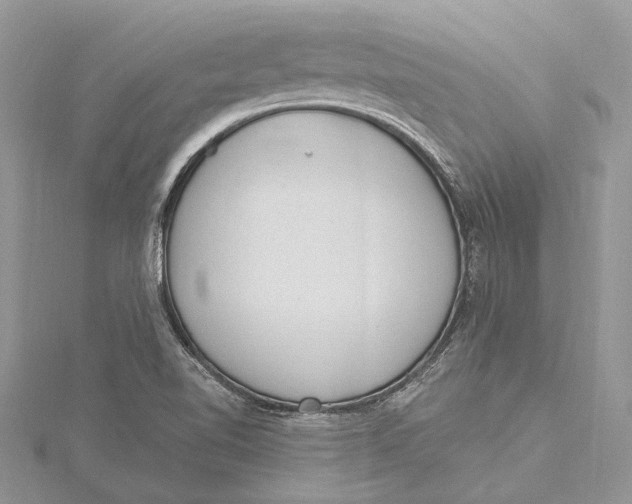 X0000115631510200912011429