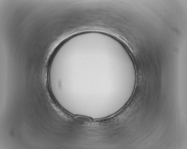 X0000115631511200912011429