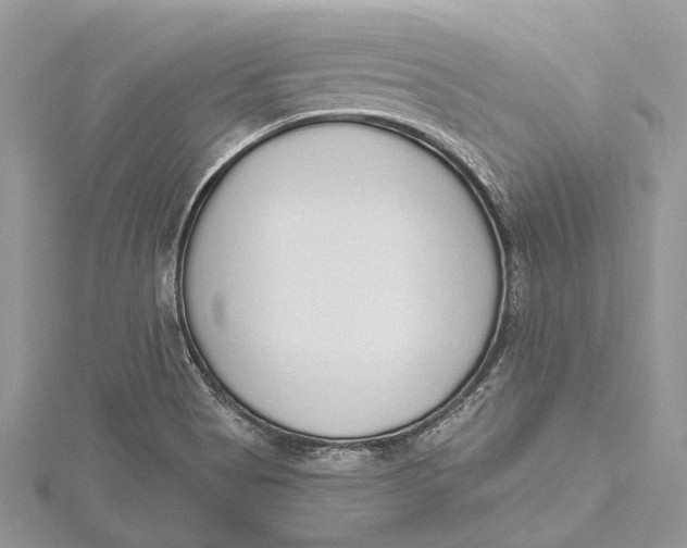 X0000115631513200912011430