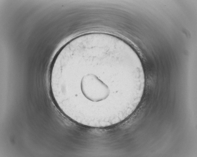 X0000115631514200912011430