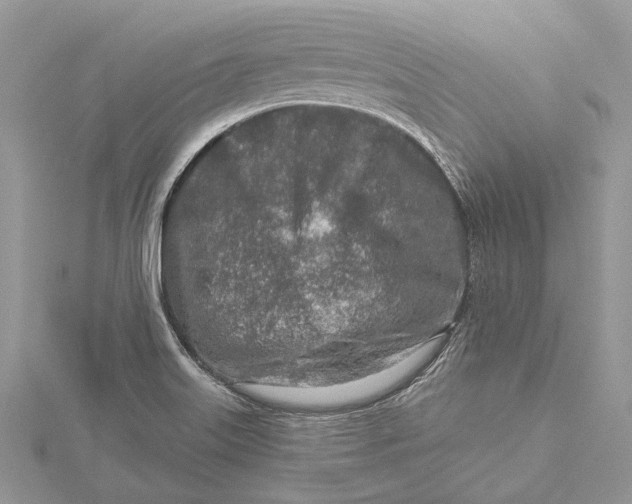 X0000115631515200912011430