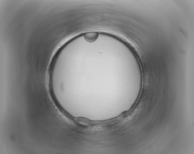 X0000115631517200912011430