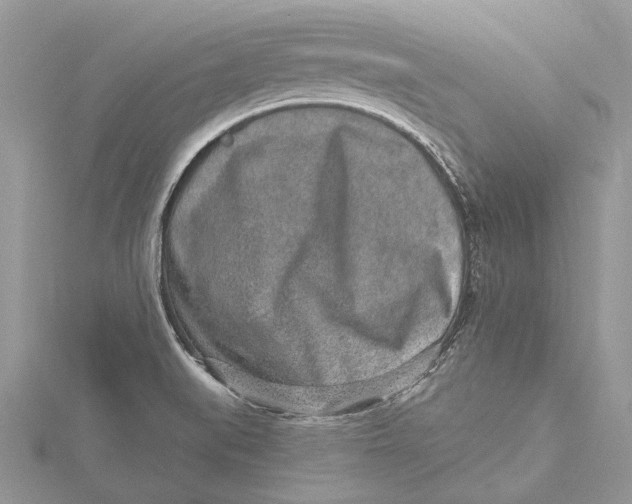 X0000115631519200912011430