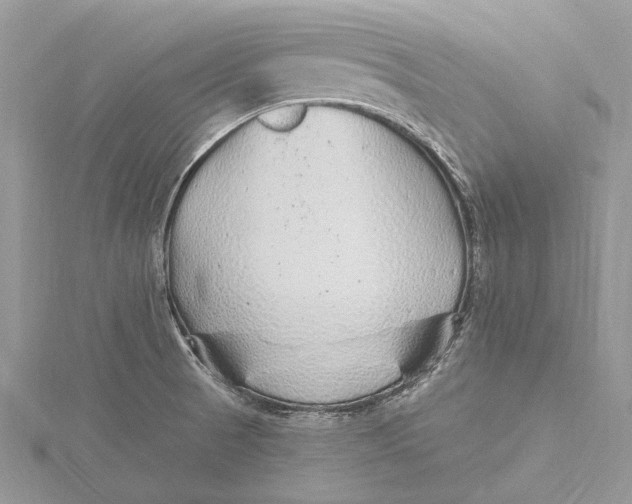 X0000115631521200912011430