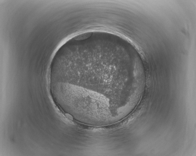 X0000115631522200912011430