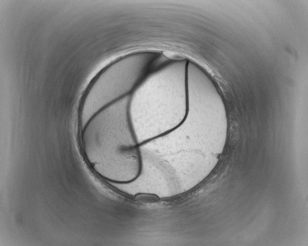 X0000115631523200912011430