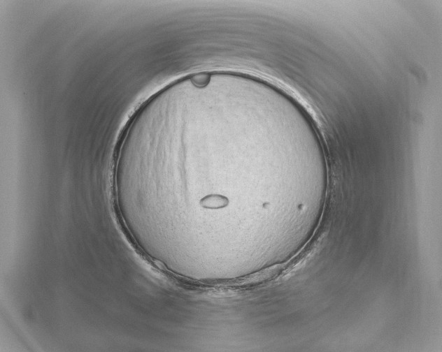 X0000115631525200912011430