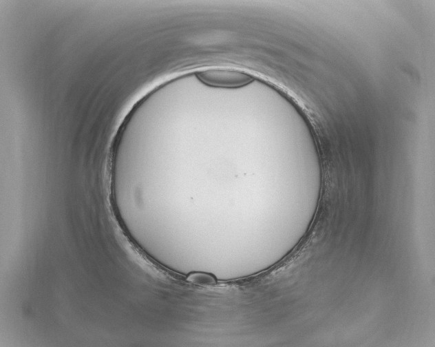 X0000115631526200912011430