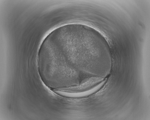 X0000115631527200912011430