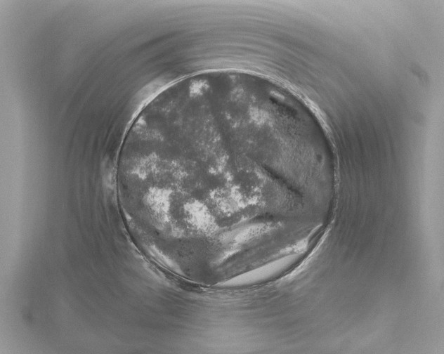 X0000115631529200912011430