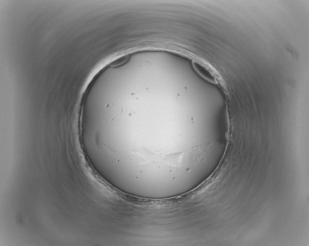 X0000115631530200912011430