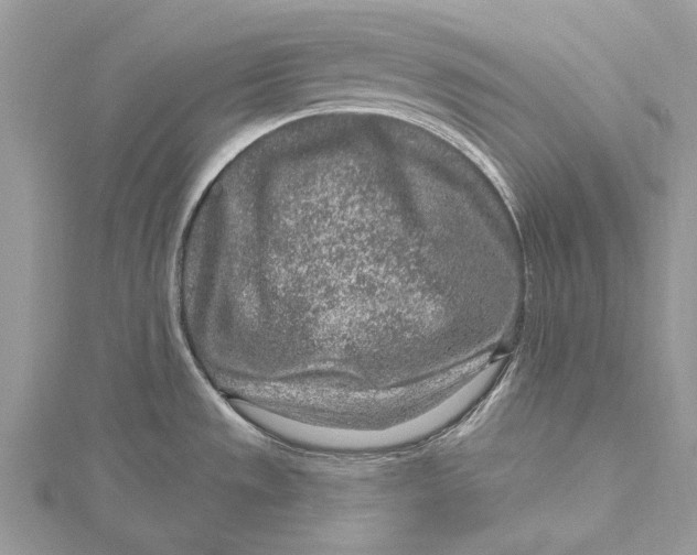 X0000115631533200912011430